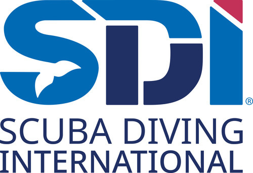 SDI Logo