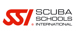 SSI Logo
